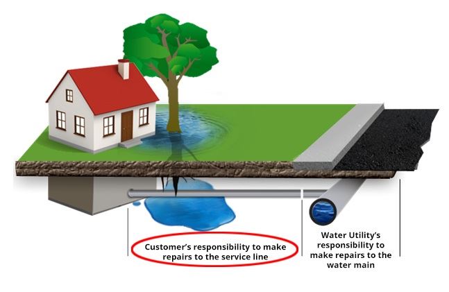 customers responsibility graphic
